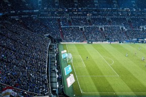 蒂姆赛事官方发布爆冷新规，勇士争议不断！-半岛体育官网登录